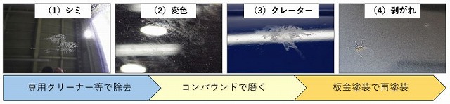 鳥のフンが車にもたらす影響と進行度別対処法